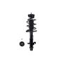 FCS Struts 1333586L Suspension Strut and Coil Spring Assembly