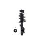 FCS Struts 1333586R Suspension Strut and Coil Spring Assembly