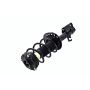 FCS Struts 1333591L Suspension Strut and Coil Spring Assembly