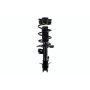 FCS Struts 1333591R Suspension Strut and Coil Spring Assembly