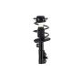 FCS Struts 1333701L Suspension Strut and Coil Spring Assembly