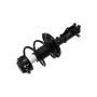 FCS Struts 1333701L Suspension Strut and Coil Spring Assembly