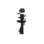 FCS Struts 1333701R Suspension Strut and Coil Spring Assembly