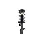 FCS Struts 1333704L Suspension Strut and Coil Spring Assembly