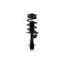 FCS Struts 1333704L Suspension Strut and Coil Spring Assembly