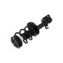 FCS Struts 1333704L Suspension Strut and Coil Spring Assembly