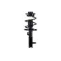 FCS Struts 1333710L Suspension Strut and Coil Spring Assembly