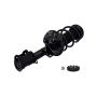 FCS Struts 1333710L Suspension Strut and Coil Spring Assembly