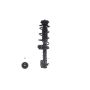 FCS Struts 1333711L Suspension Strut and Coil Spring Assembly