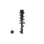 FCS Struts 1333711L Suspension Strut and Coil Spring Assembly