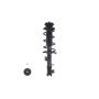 FCS Struts 1333711R Suspension Strut and Coil Spring Assembly