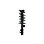FCS Struts 1333715L Suspension Strut and Coil Spring Assembly