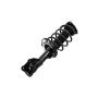 FCS Struts 1333715L Suspension Strut and Coil Spring Assembly