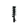 FCS Struts 1333715R Suspension Strut and Coil Spring Assembly