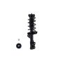 FCS Struts 1333716L Suspension Strut and Coil Spring Assembly