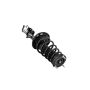 FCS Struts 1333717L Suspension Strut and Coil Spring Assembly