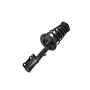 FCS Struts 1333717L Suspension Strut and Coil Spring Assembly