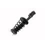 FCS Struts 1333717R Suspension Strut and Coil Spring Assembly