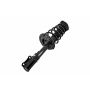 FCS Struts 1333717R Suspension Strut and Coil Spring Assembly