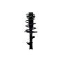 FCS Struts 1333718L Suspension Strut and Coil Spring Assembly