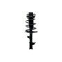 FCS Struts 1333718R Suspension Strut and Coil Spring Assembly