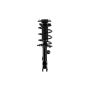 FCS Struts 1333719L Suspension Strut and Coil Spring Assembly