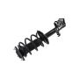 FCS Struts 1333719L Suspension Strut and Coil Spring Assembly