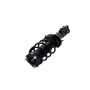 FCS Struts 1333725L Suspension Strut and Coil Spring Assembly