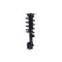 FCS Struts 1333737 Suspension Strut and Coil Spring Assembly