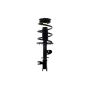 FCS Struts 1333741L Suspension Strut and Coil Spring Assembly