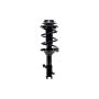 FCS Struts 1333746R Suspension Strut and Coil Spring Assembly
