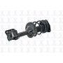 FCS Struts 1333748R Suspension Strut and Coil Spring Assembly