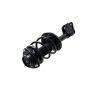 FCS Struts 1333749L Suspension Strut and Coil Spring Assembly