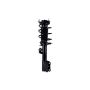 FCS Struts 1333750 Suspension Strut and Coil Spring Assembly