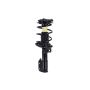FCS Struts 1333760 Suspension Strut and Coil Spring Assembly