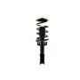 FCS Struts 1333761 Suspension Strut and Coil Spring Assembly