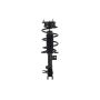 FCS Struts 1333787L Suspension Strut and Coil Spring Assembly
