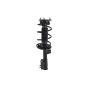 FCS Struts 1333787R Suspension Strut and Coil Spring Assembly