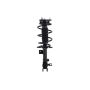 FCS Struts 1333787R Suspension Strut and Coil Spring Assembly