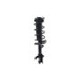 FCS Struts 1333790L Suspension Strut and Coil Spring Assembly