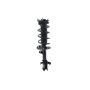 FCS Struts 1333790R Suspension Strut and Coil Spring Assembly