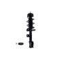FCS Struts 1333800L Suspension Strut and Coil Spring Assembly