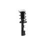 FCS Struts 1333802L Suspension Strut and Coil Spring Assembly