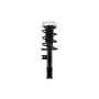 FCS Struts 1333802L Suspension Strut and Coil Spring Assembly