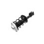FCS Struts 1333802R Suspension Strut and Coil Spring Assembly