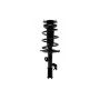 FCS Struts 1333817R Suspension Strut and Coil Spring Assembly