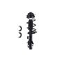 FCS Struts 1333823L Suspension Strut and Coil Spring Assembly