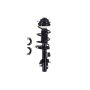 FCS Struts 1333823R Suspension Strut and Coil Spring Assembly