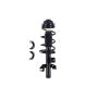 FCS Struts 1333823R Suspension Strut and Coil Spring Assembly