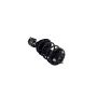 FCS Struts 1333825L Suspension Strut and Coil Spring Assembly